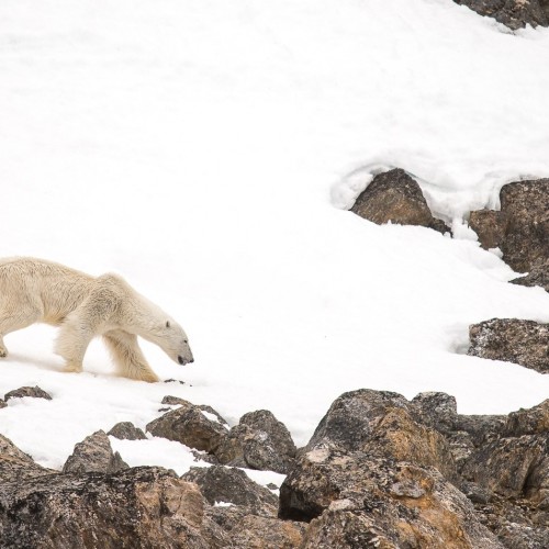 Svalbard