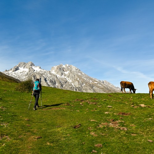 Picos de Europa
