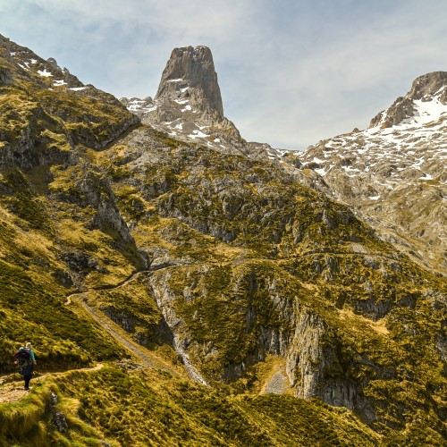 Picos de Europa