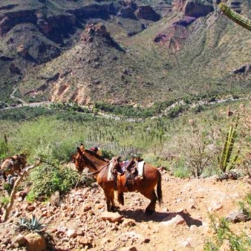 Baja california canyon s.francisco