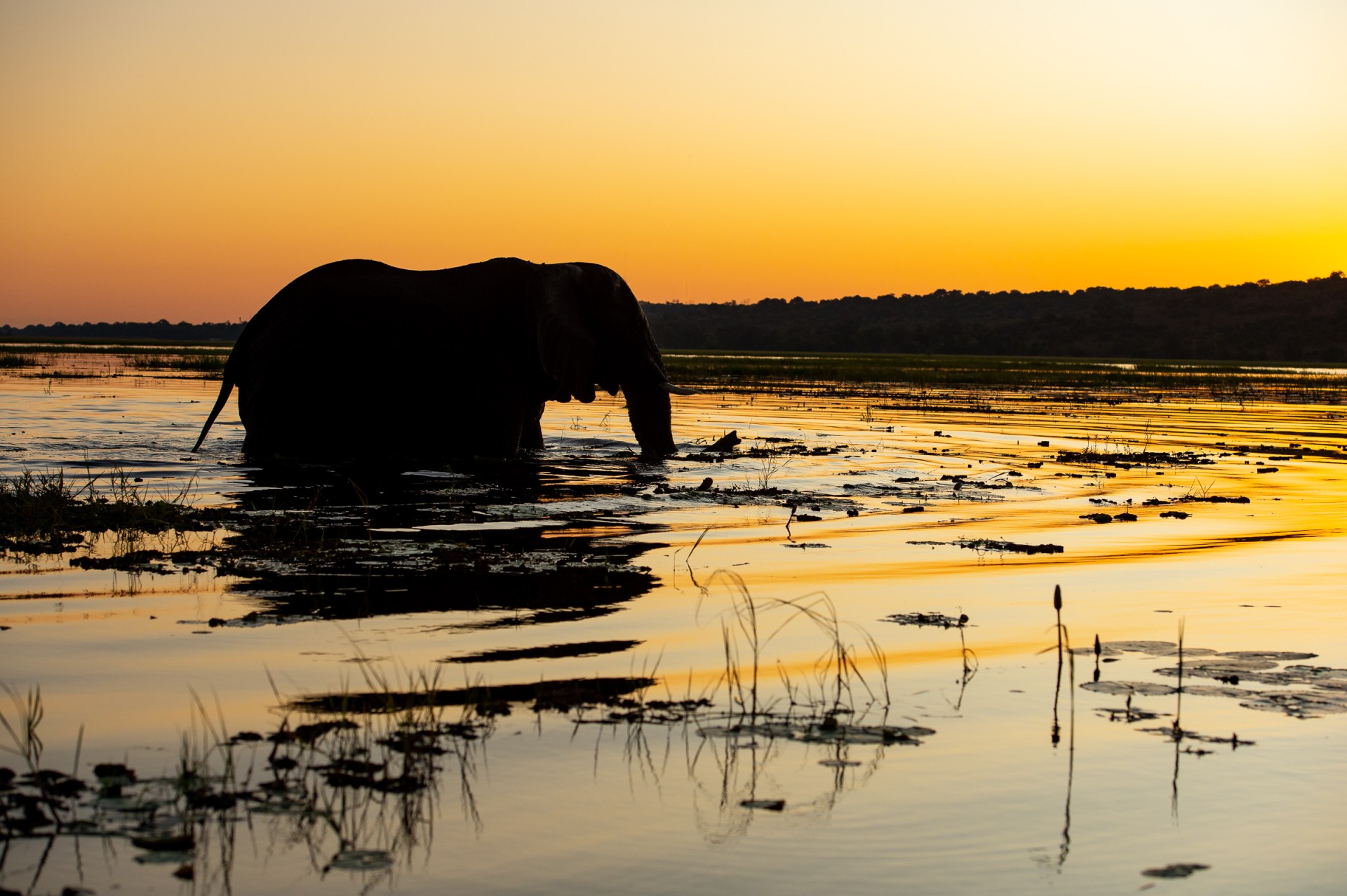 Chobe National Park