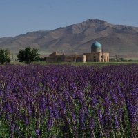Iran W