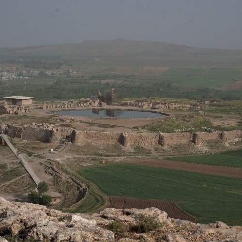 Iran W
