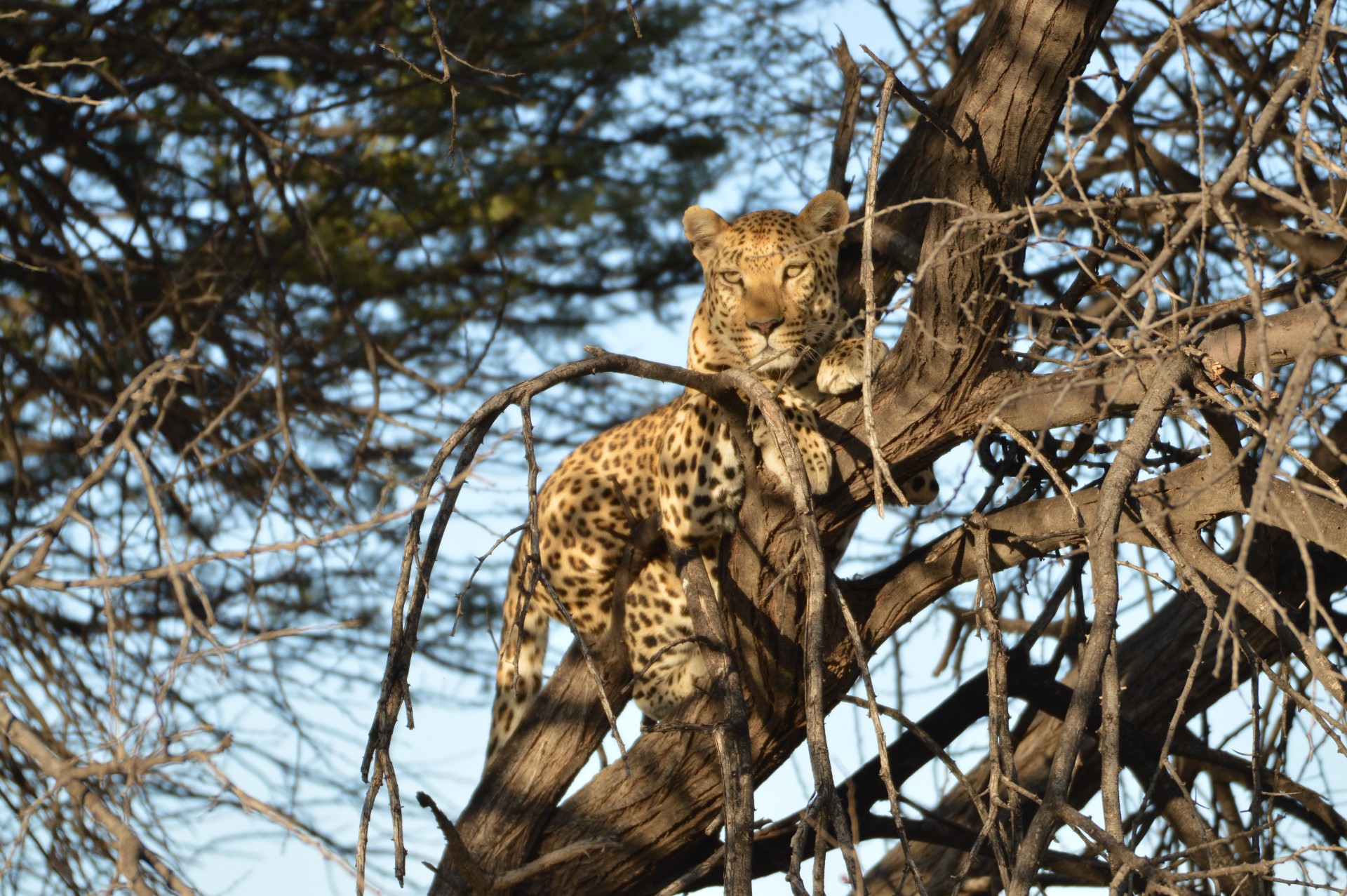 Namibia