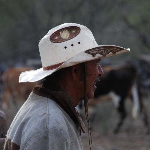 Baja california ranchero