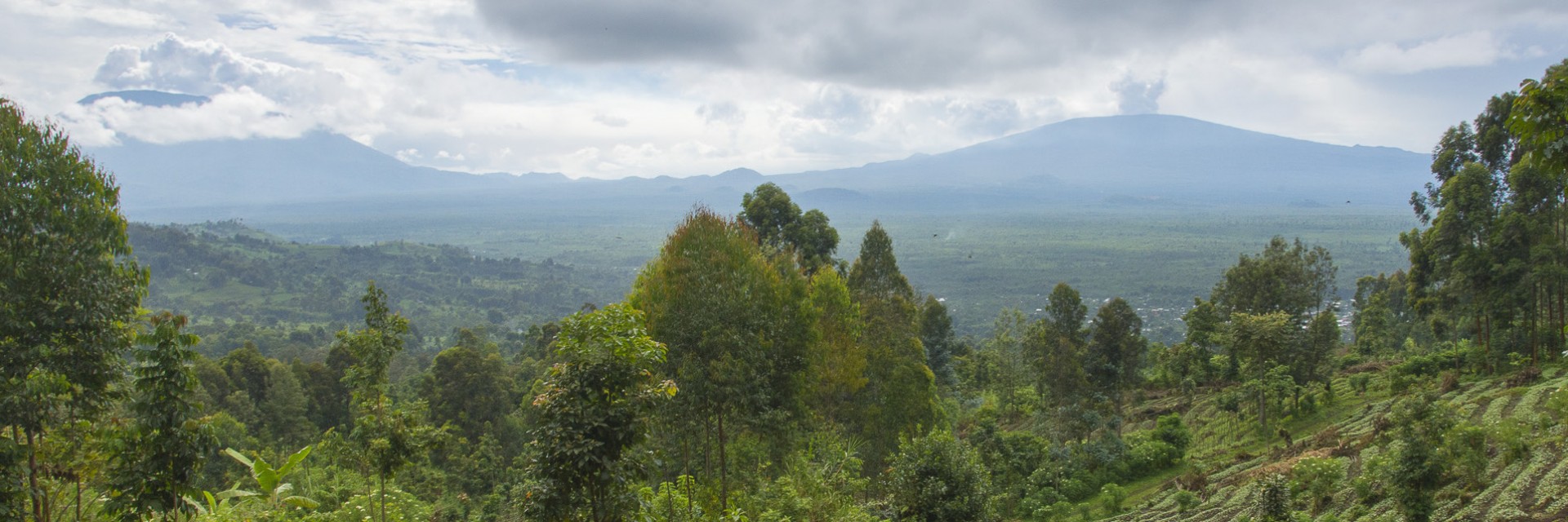 Virunga