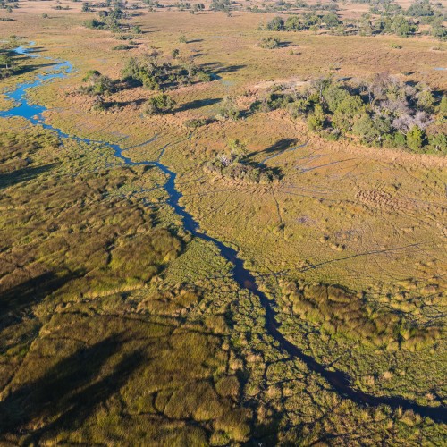 Delta Okavango