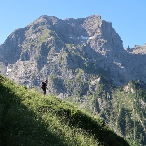 Schiara