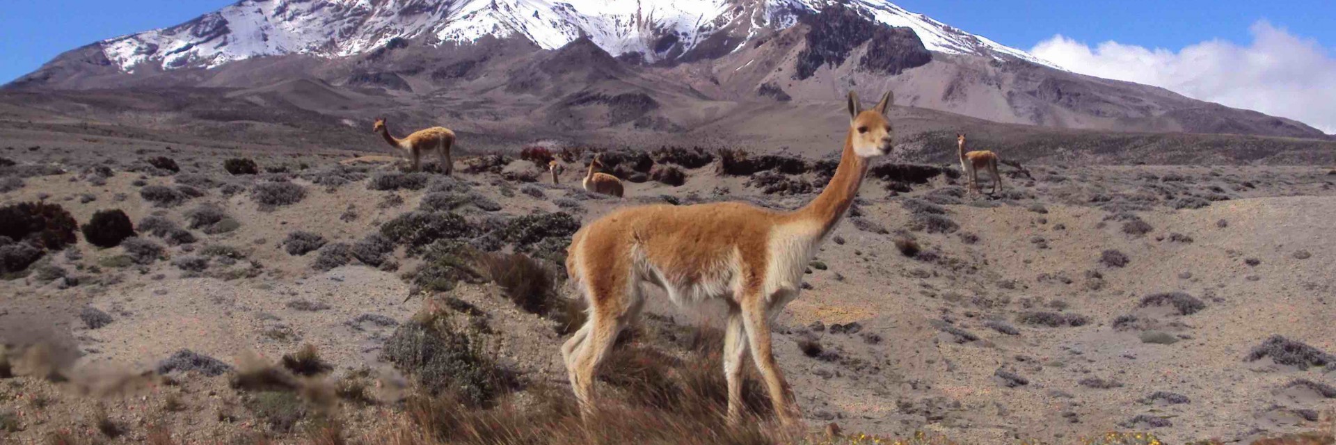 Ecuador