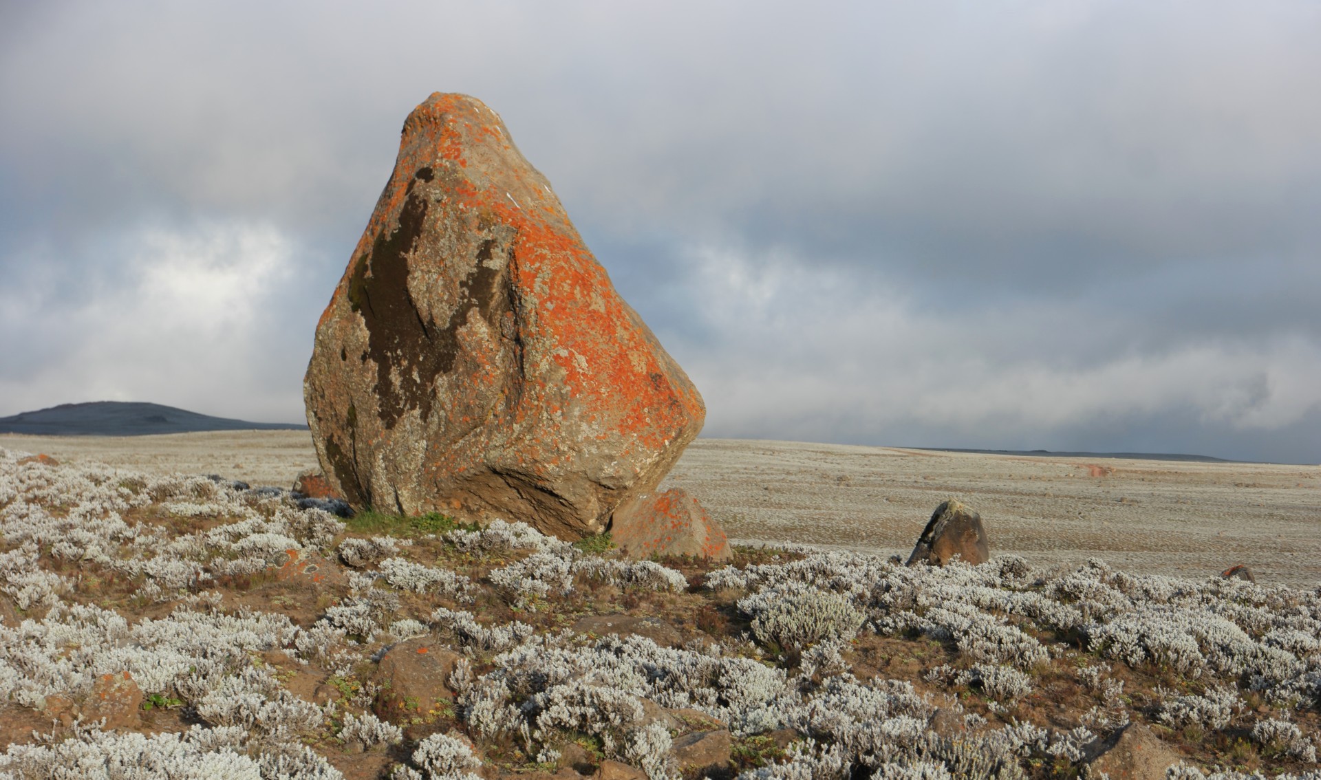 Etiopia Bale