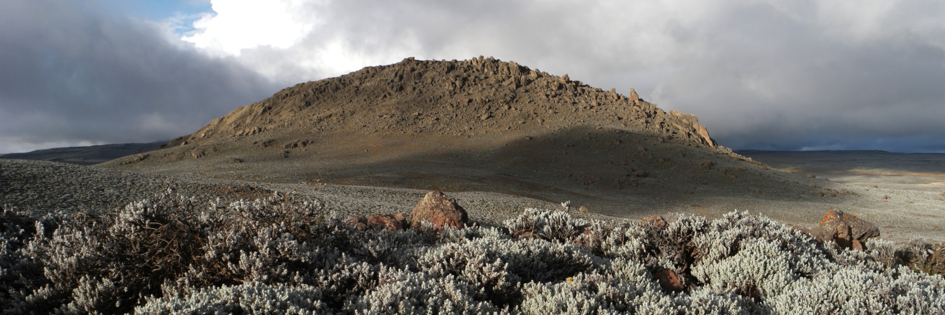 Etiopia Bale