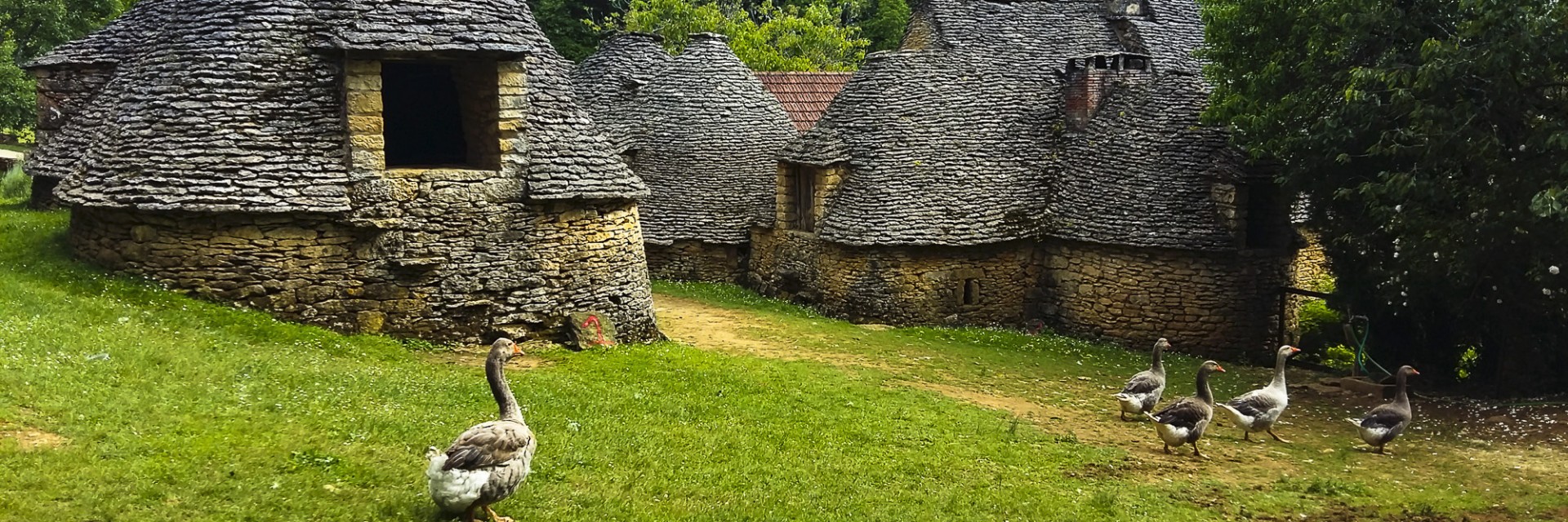 Francia Lascaux