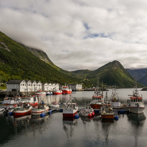 Senja