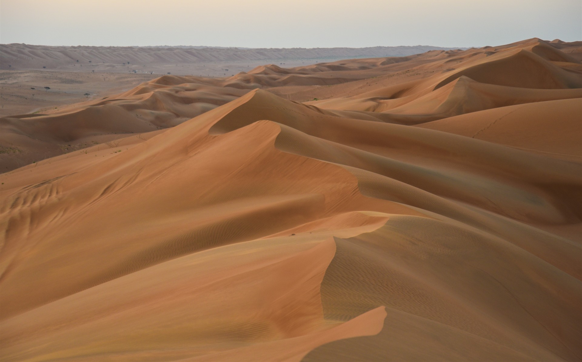 Oman NE