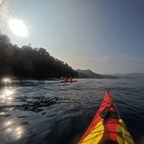 Niasca