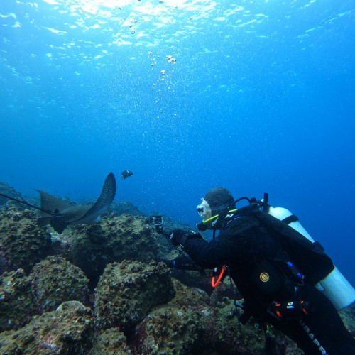 galapagos