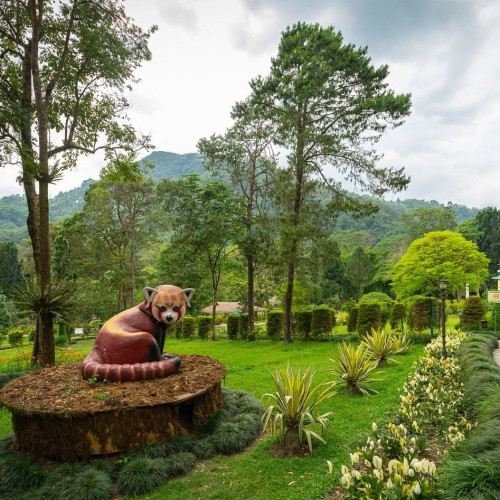 Gangtok - Saramsa Garden 