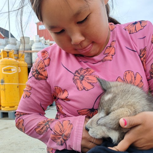 Groenlandia Trekking