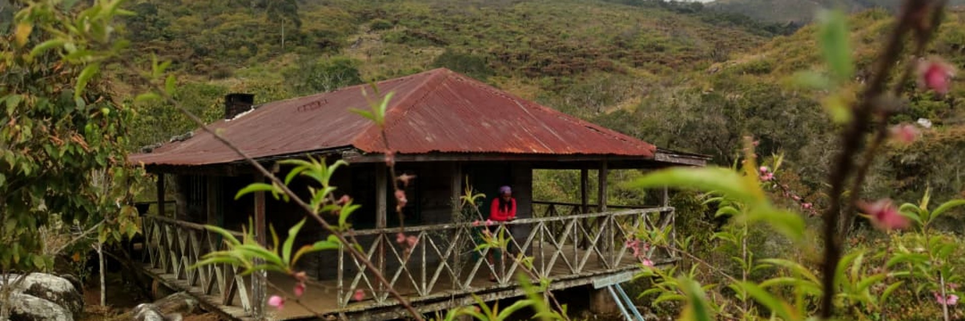 Header Malawi 