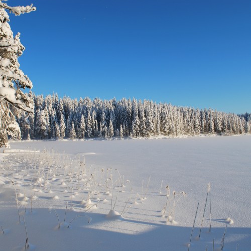 Finlandia