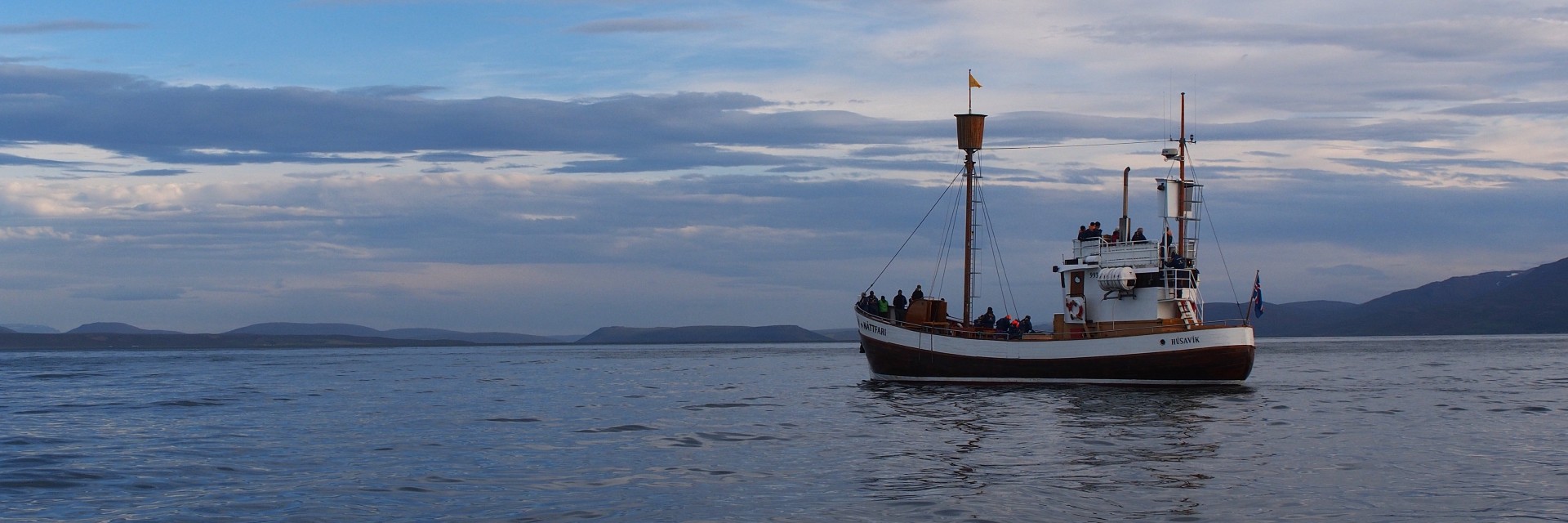 Husavik Whale watching