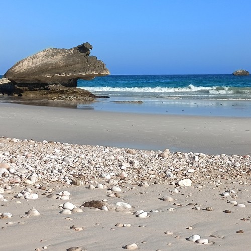 Oman Sud