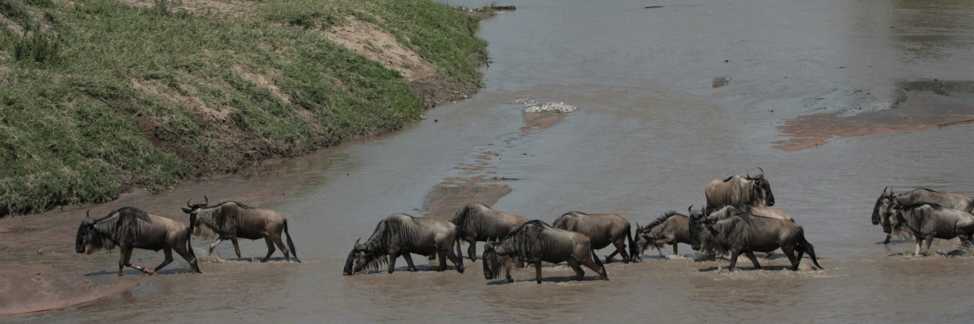 Tanzania