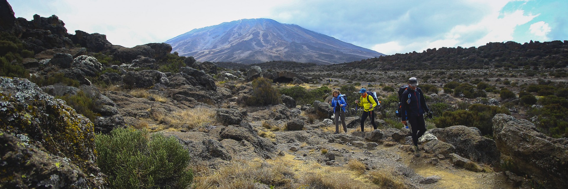 Kilimanjaro 