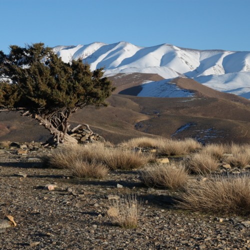 Marocco Atlante