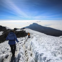 Kilimanjaro 