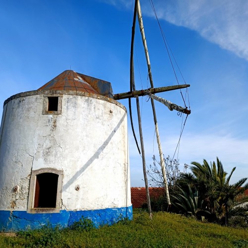 moinhoss do paneiro