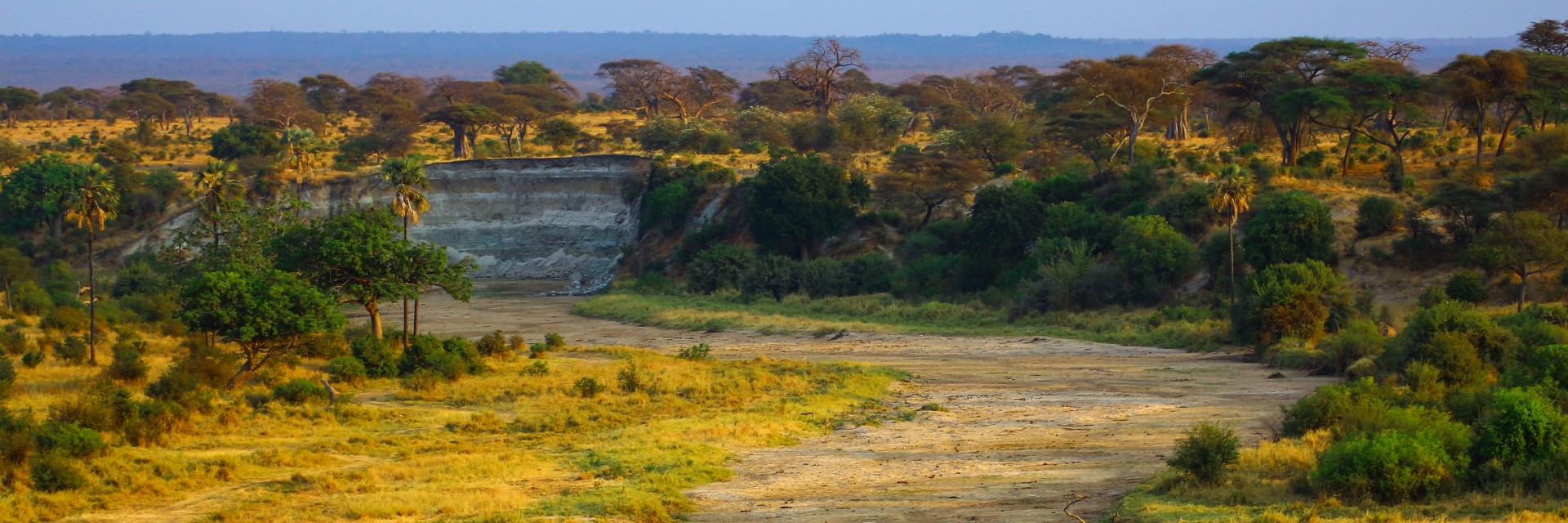 Tanzania safari