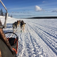 Kiruna White Trail