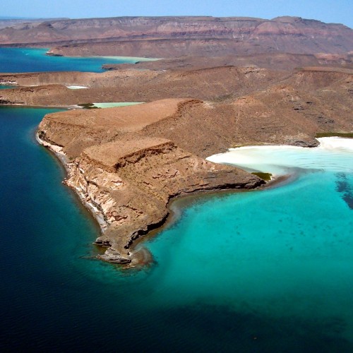 Baja california espiritu santo 6