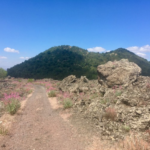 Etna nord