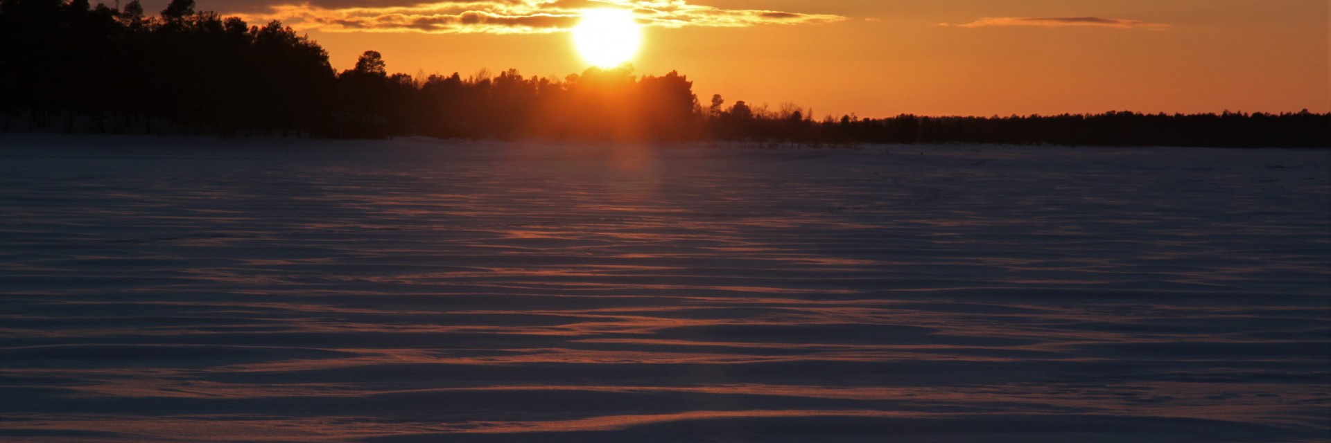 lapponia inverno