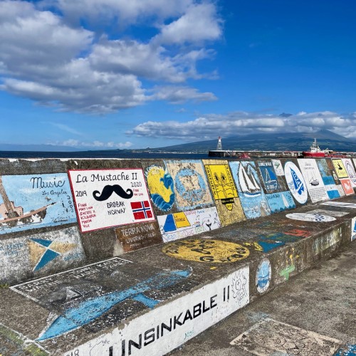horta murales