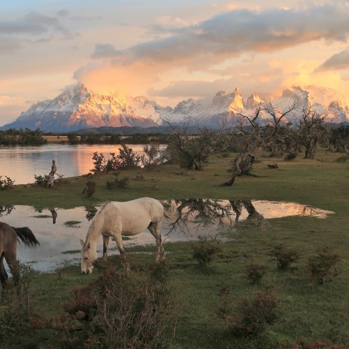 Patagonia
