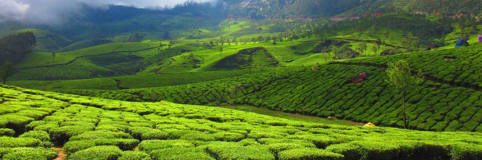 India