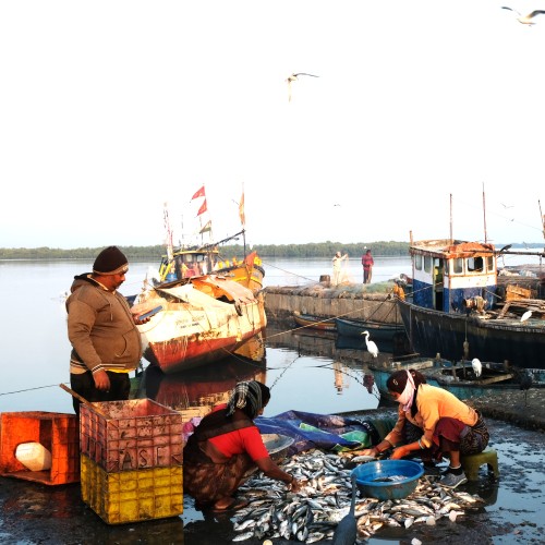 Gujarat