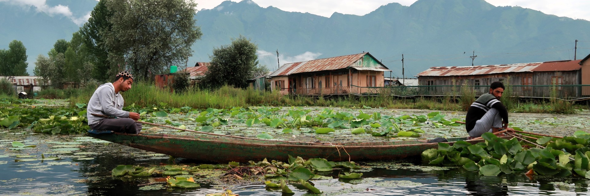 Kashmir