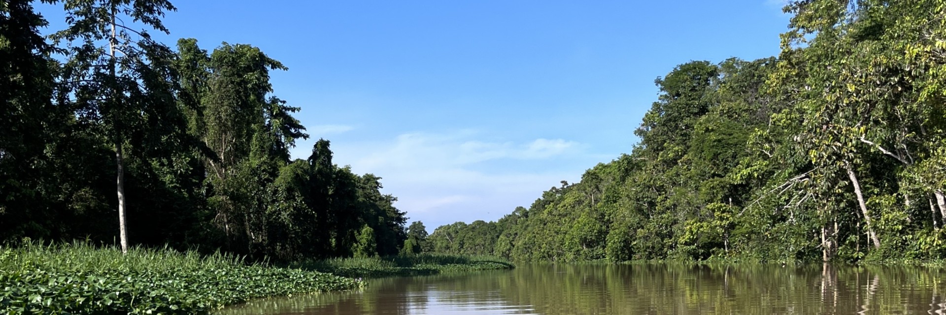Kinabatangan