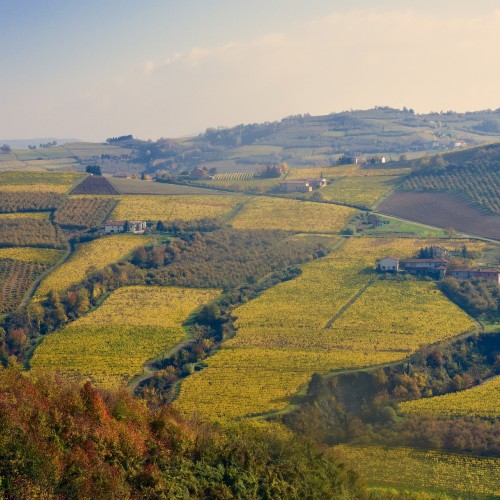 Langhe