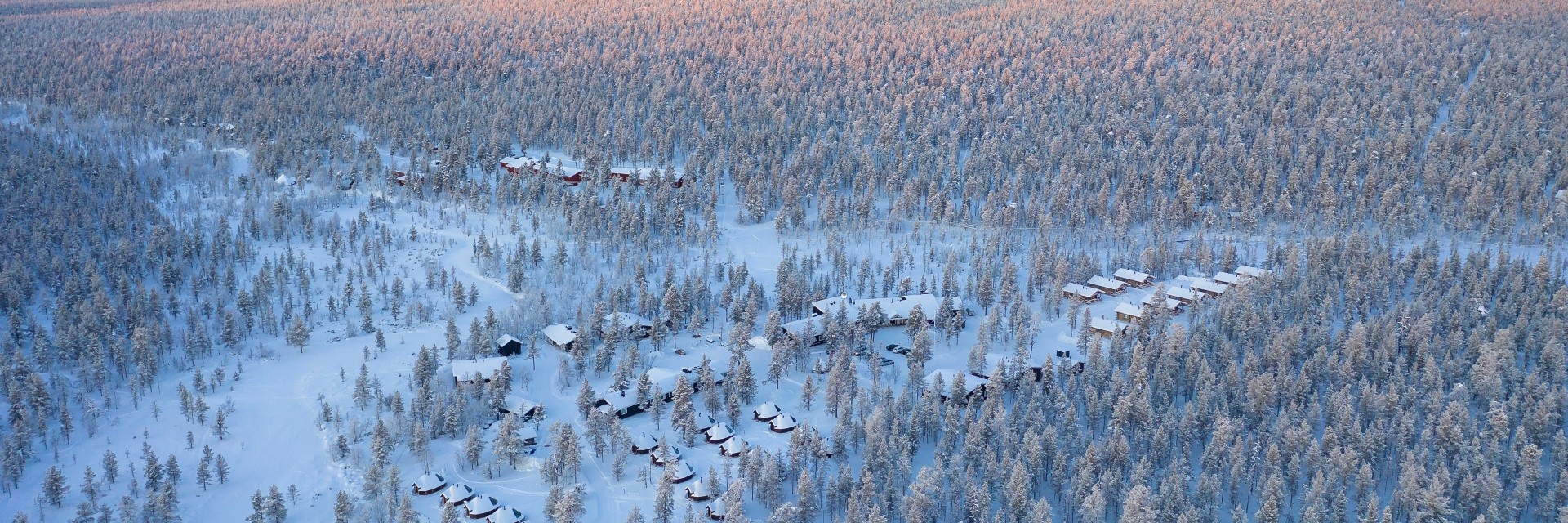 Lapponia