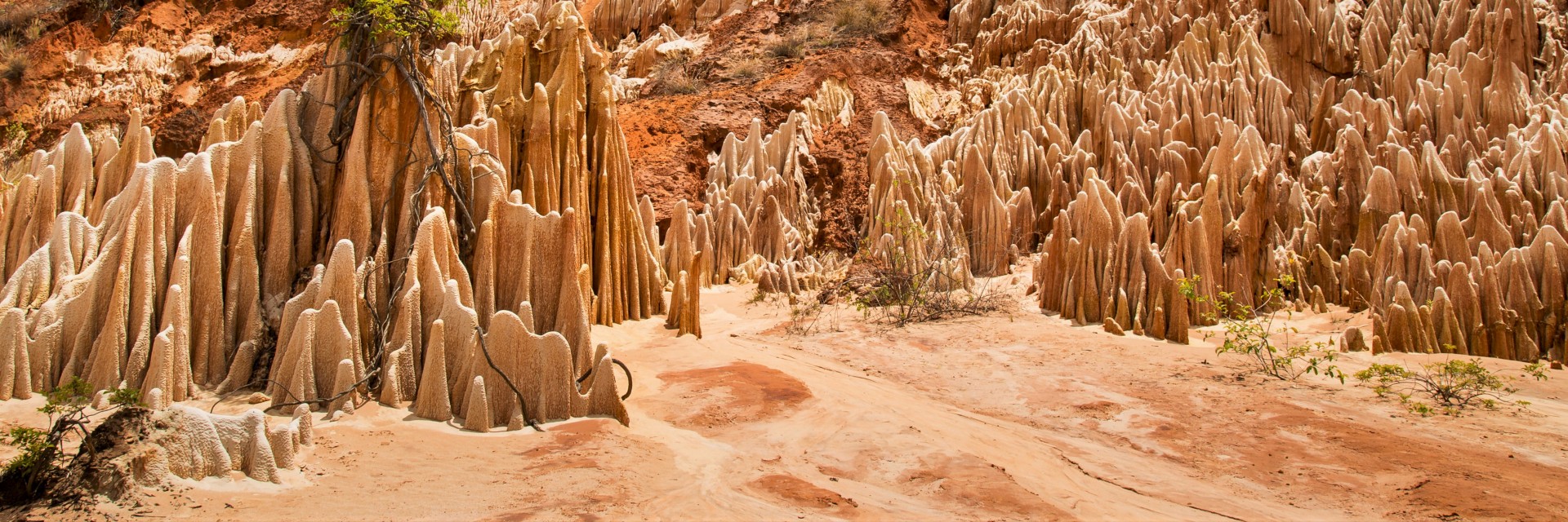 Madagascar Tsingy Rouge