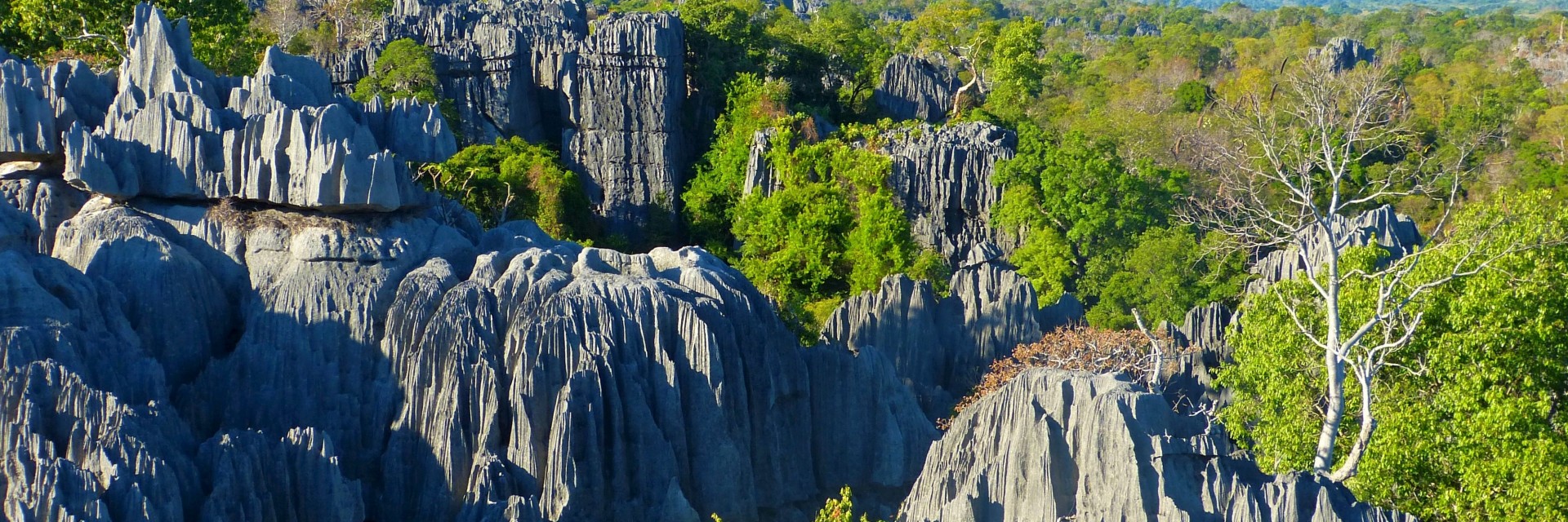 Madagascar Tsingy