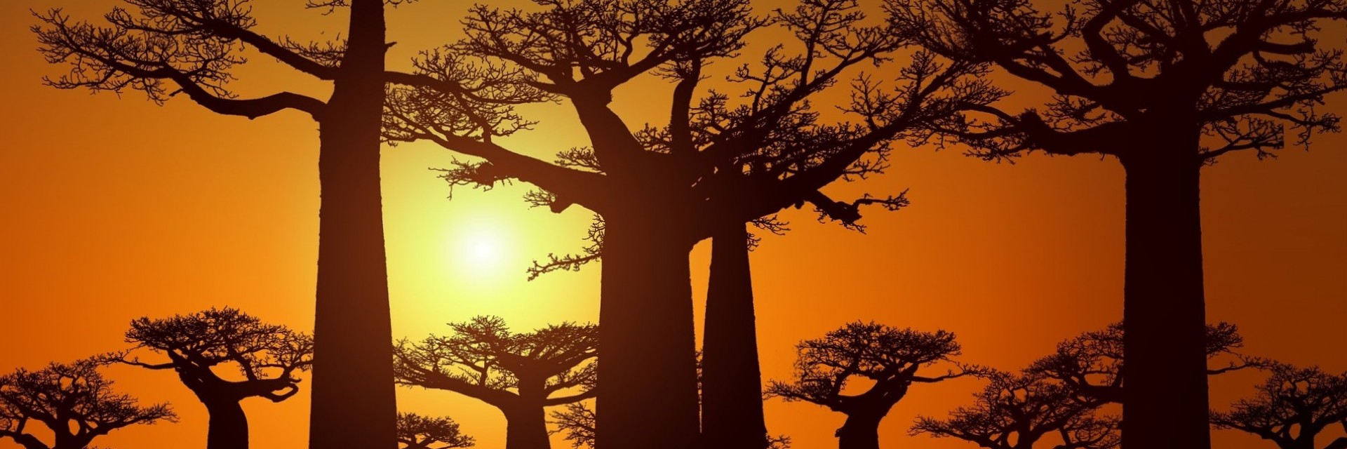 Madagascar Sud
