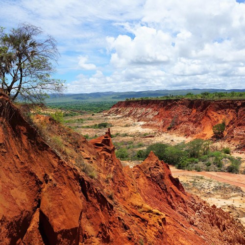 Madagascar