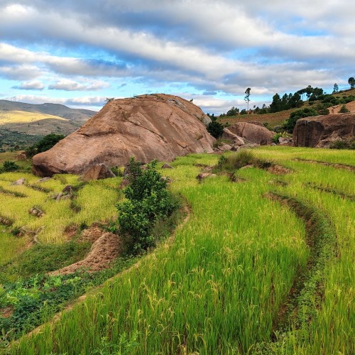 Madagascar Sud