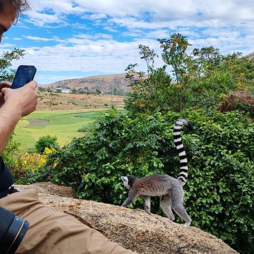 Madagascar Sud